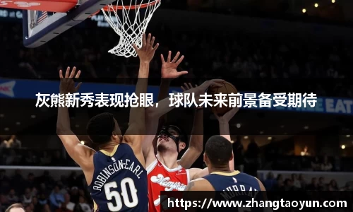 yy易游
