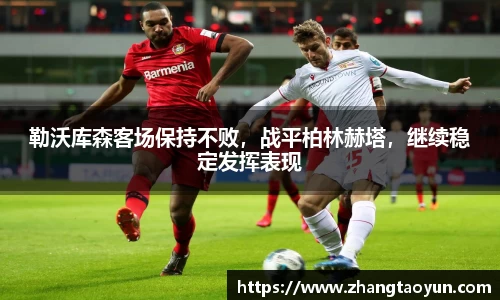 yy易游体育
