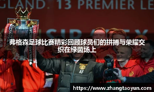 yy易游体育