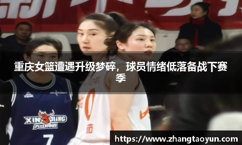 易游体育
