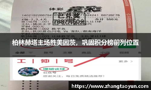 yy体育