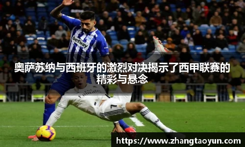 zoty中欧官方网站