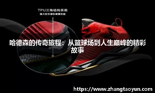 zoty中欧官方网站