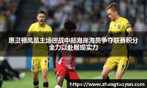 zoty中欧官方app下载
