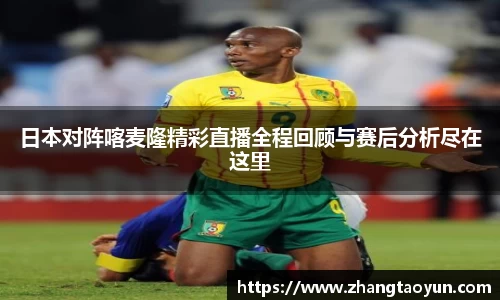 zoty中欧官网