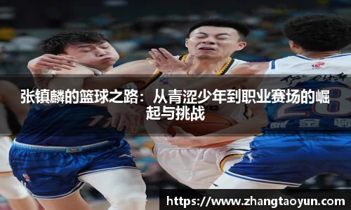 zoty中欧官方app下载