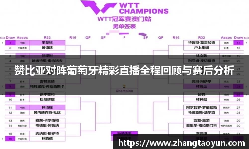 zoty中欧官方网站