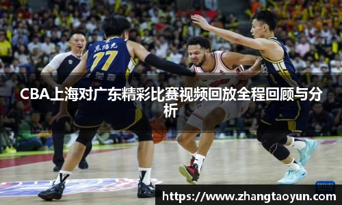 zoty中欧