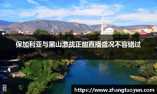 zoty中欧官方网站